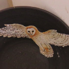 OAT Images
